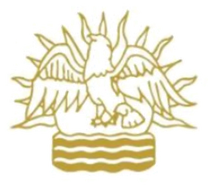 Government partner